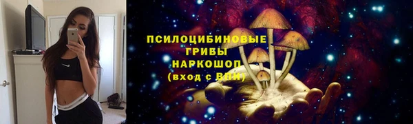 дурь Каменногорск