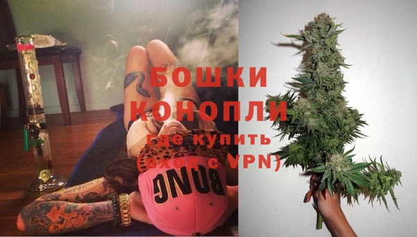дурь Каменногорск