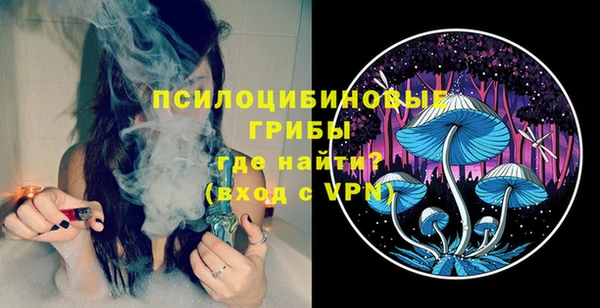 дурь Каменногорск