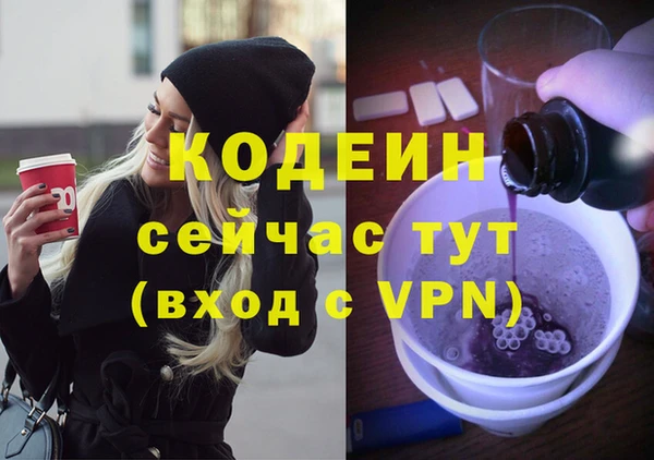 СК Каменка