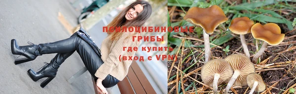 дурь Каменногорск